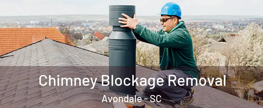 Chimney Blockage Removal Avondale - SC