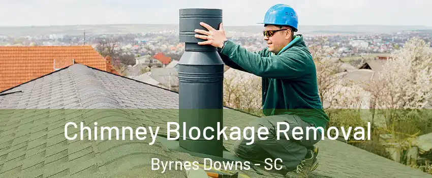 Chimney Blockage Removal Byrnes Downs - SC