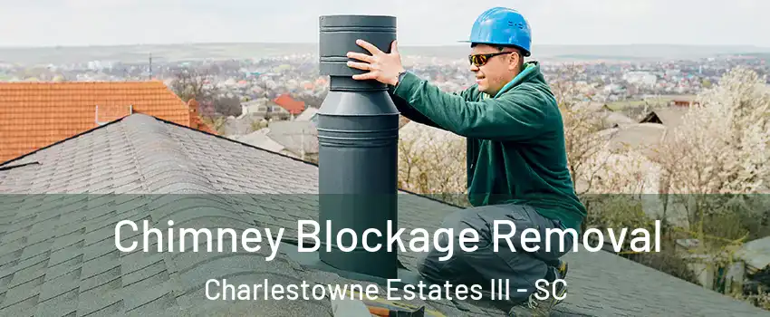 Chimney Blockage Removal Charlestowne Estates III - SC