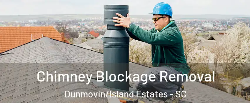 Chimney Blockage Removal Dunmovin/Island Estates - SC