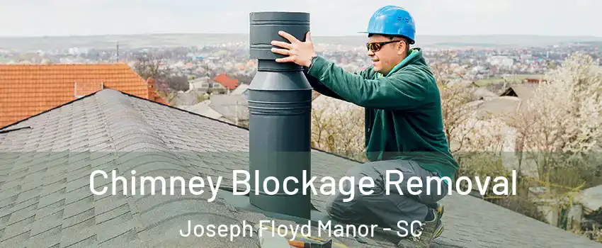 Chimney Blockage Removal Joseph Floyd Manor - SC