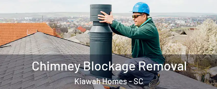 Chimney Blockage Removal Kiawah Homes - SC