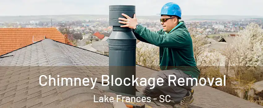 Chimney Blockage Removal Lake Frances - SC