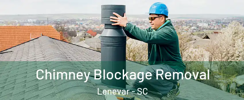 Chimney Blockage Removal Lenevar - SC