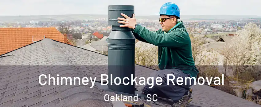 Chimney Blockage Removal Oakland - SC