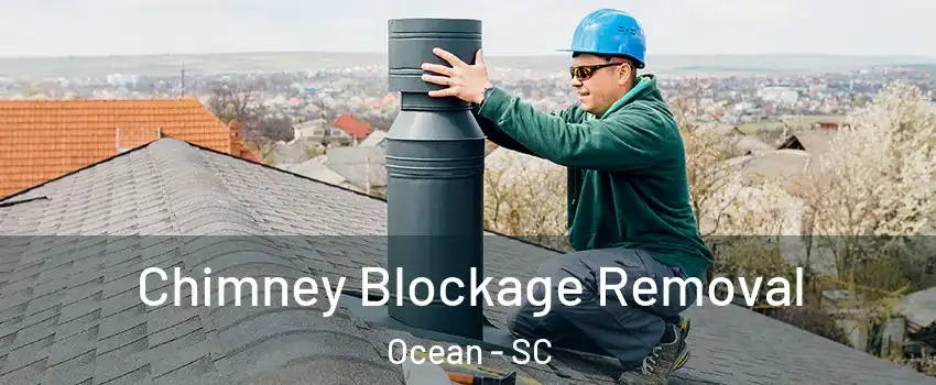 Chimney Blockage Removal Ocean - SC