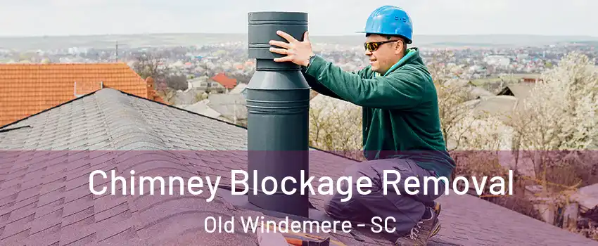 Chimney Blockage Removal Old Windemere - SC