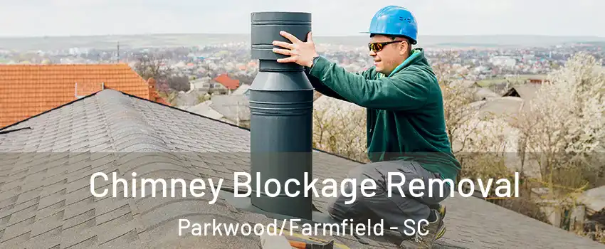 Chimney Blockage Removal Parkwood/Farmfield - SC