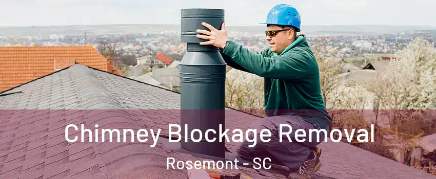 Chimney Blockage Removal Rosemont - SC