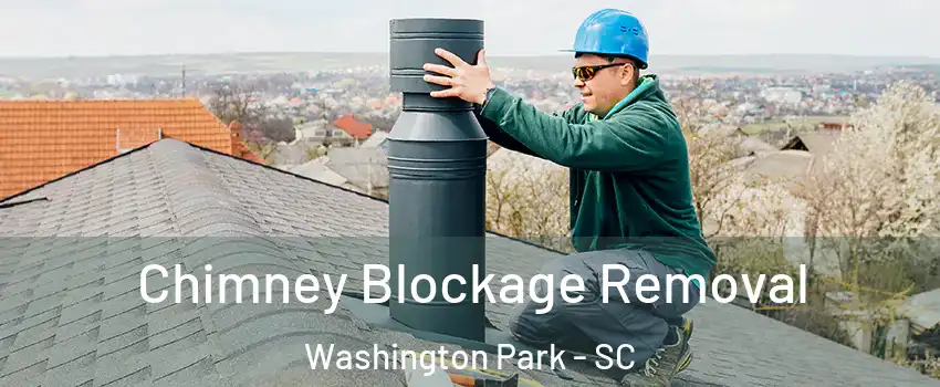 Chimney Blockage Removal Washington Park - SC