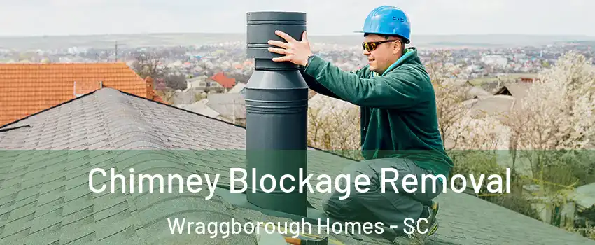 Chimney Blockage Removal Wraggborough Homes - SC