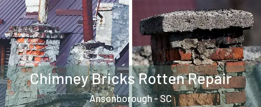 Chimney Bricks Rotten Repair Ansonborough - SC