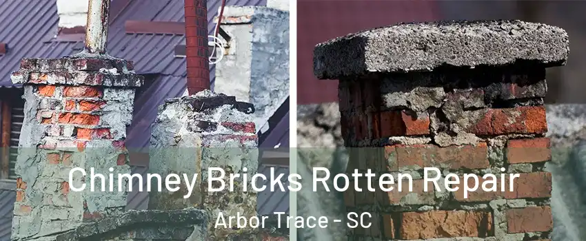 Chimney Bricks Rotten Repair Arbor Trace - SC