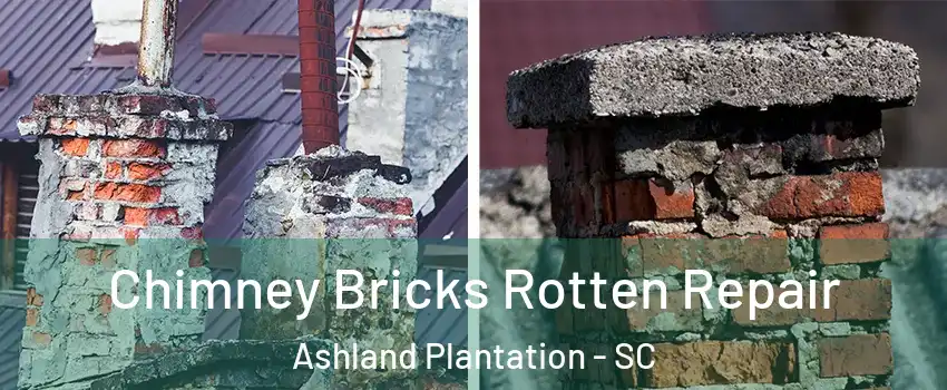 Chimney Bricks Rotten Repair Ashland Plantation - SC