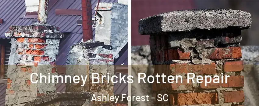 Chimney Bricks Rotten Repair Ashley Forest - SC