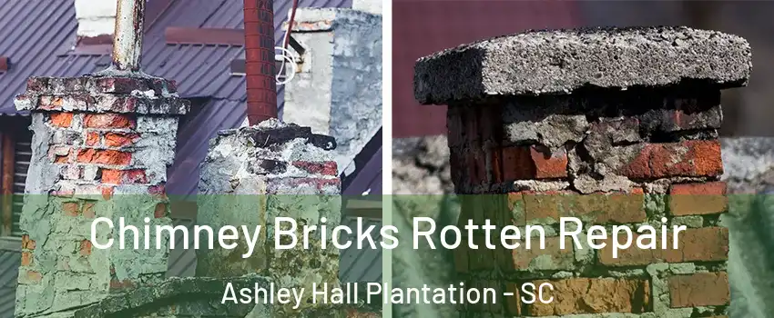 Chimney Bricks Rotten Repair Ashley Hall Plantation - SC