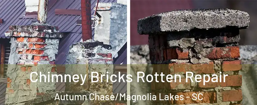 Chimney Bricks Rotten Repair Autumn Chase/Magnolia Lakes - SC