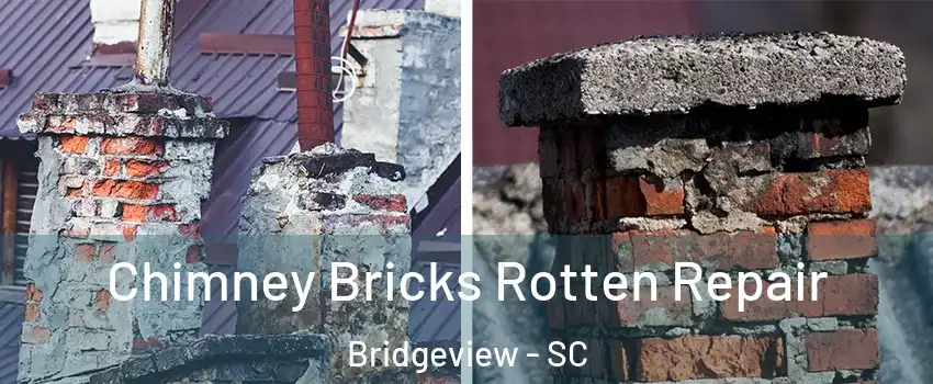 Chimney Bricks Rotten Repair Bridgeview - SC