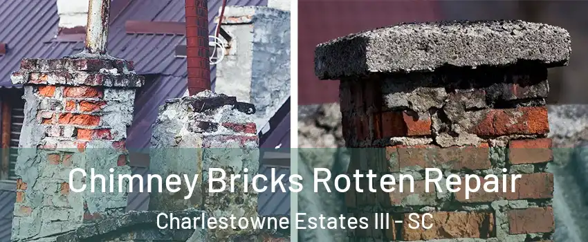 Chimney Bricks Rotten Repair Charlestowne Estates III - SC