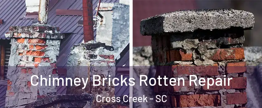 Chimney Bricks Rotten Repair Cross Creek - SC