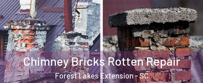 Chimney Bricks Rotten Repair Forest Lakes Extension - SC