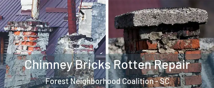 Chimney Bricks Rotten Repair Forest Neighborhood Coalition - SC