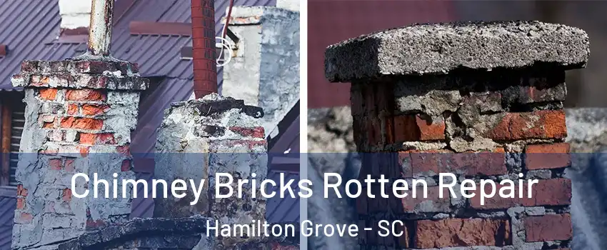 Chimney Bricks Rotten Repair Hamilton Grove - SC