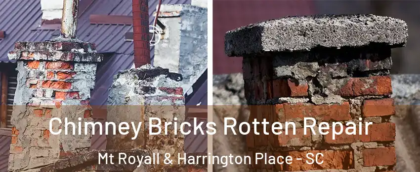 Chimney Bricks Rotten Repair Mt Royall & Harrington Place - SC