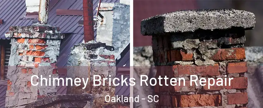 Chimney Bricks Rotten Repair Oakland - SC