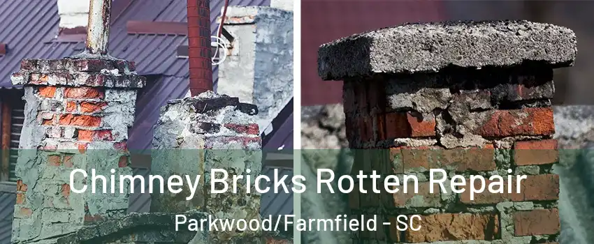 Chimney Bricks Rotten Repair Parkwood/Farmfield - SC