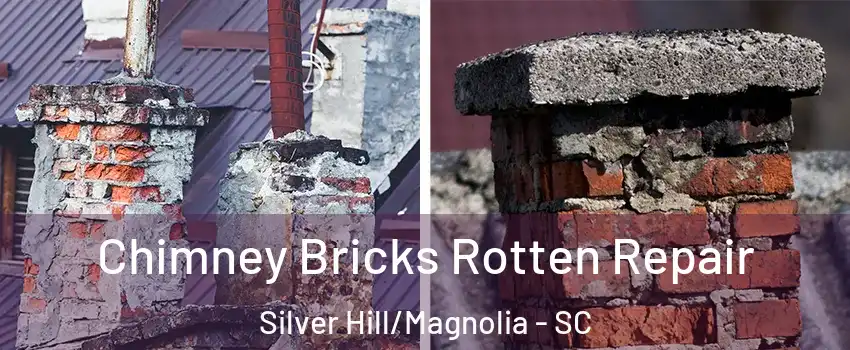 Chimney Bricks Rotten Repair Silver Hill/Magnolia - SC