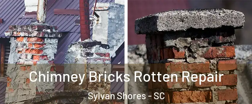 Chimney Bricks Rotten Repair Sylvan Shores - SC