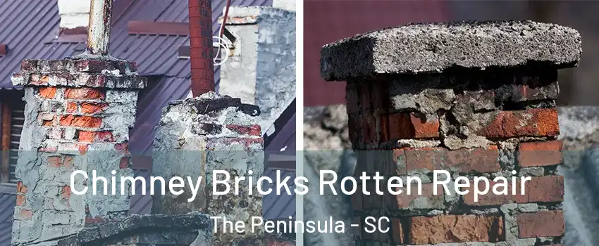 Chimney Bricks Rotten Repair The Peninsula - SC