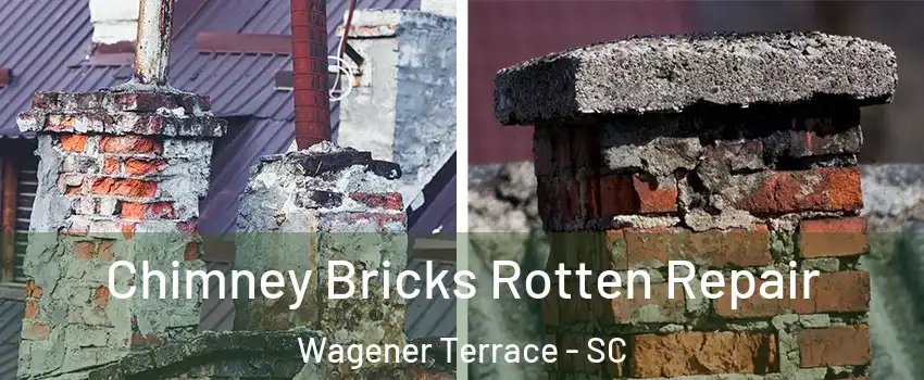 Chimney Bricks Rotten Repair Wagener Terrace - SC