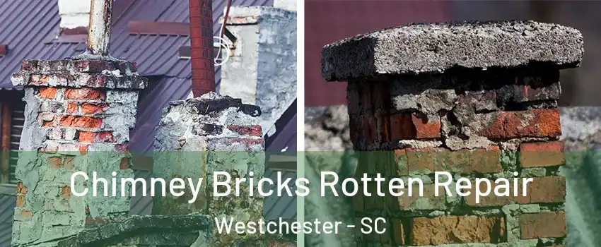 Chimney Bricks Rotten Repair Westchester - SC