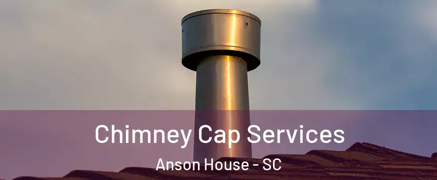 Chimney Cap Services Anson House - SC