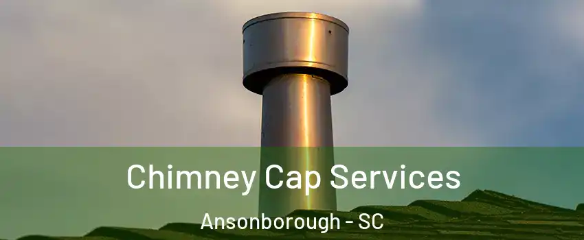 Chimney Cap Services Ansonborough - SC