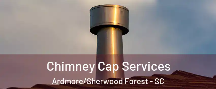 Chimney Cap Services Ardmore/Sherwood Forest - SC