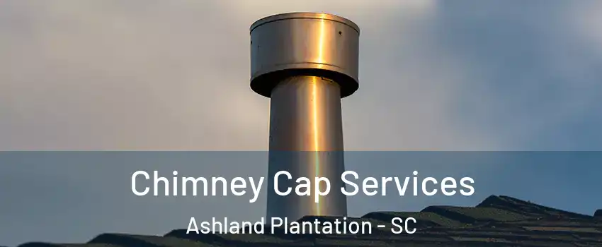 Chimney Cap Services Ashland Plantation - SC