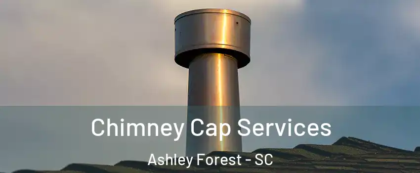 Chimney Cap Services Ashley Forest - SC