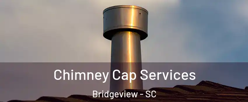 Chimney Cap Services Bridgeview - SC