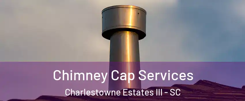 Chimney Cap Services Charlestowne Estates III - SC