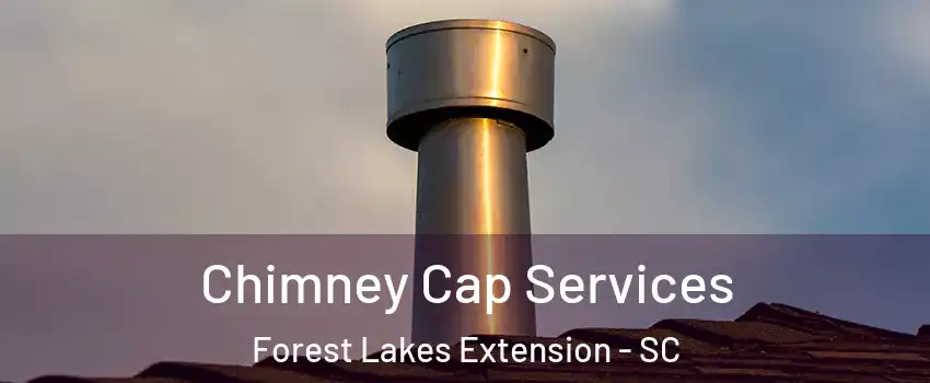 Chimney Cap Services Forest Lakes Extension - SC