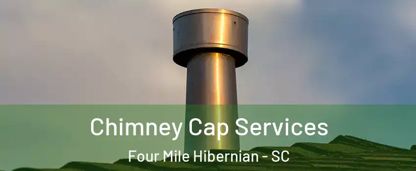 Chimney Cap Services Four Mile Hibernian - SC