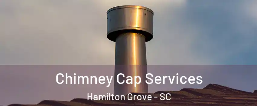 Chimney Cap Services Hamilton Grove - SC