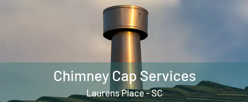 Chimney Cap Services Laurens Place - SC