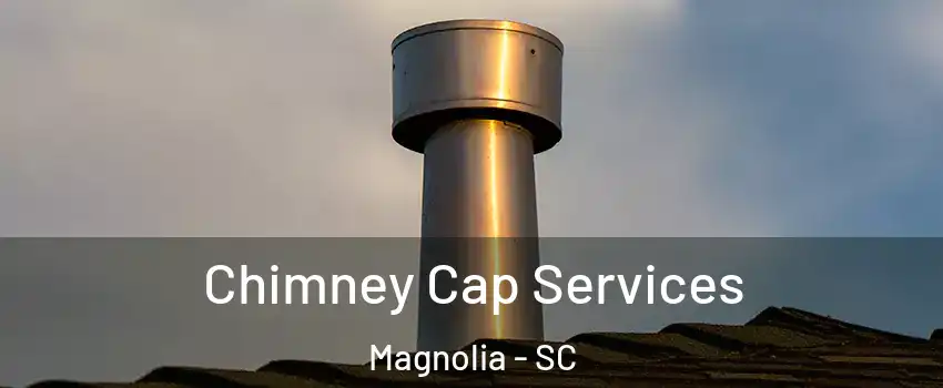 Chimney Cap Services Magnolia - SC