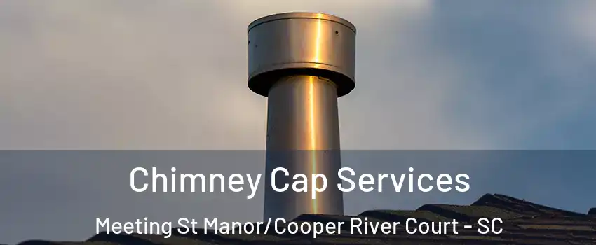 Chimney Cap Services Meeting St Manor/Cooper River Court - SC