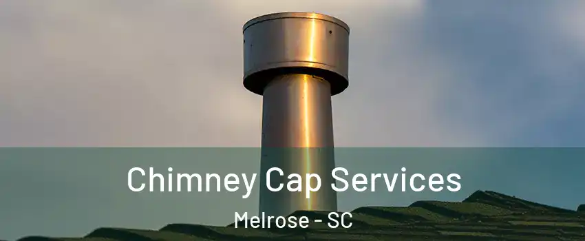 Chimney Cap Services Melrose - SC