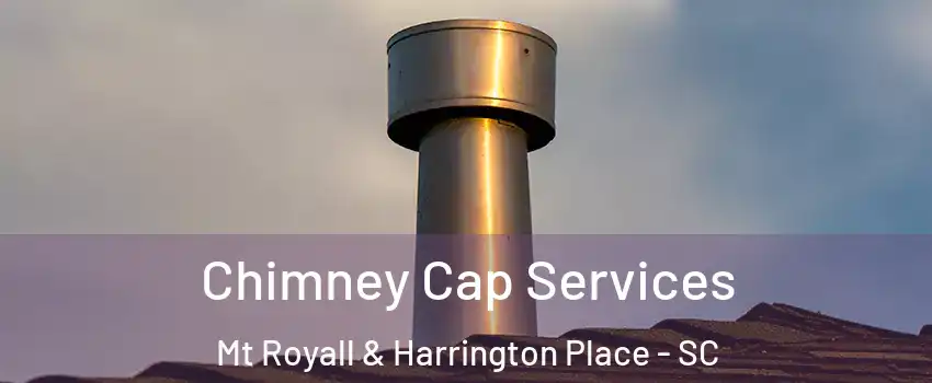 Chimney Cap Services Mt Royall & Harrington Place - SC